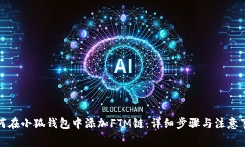 如何在小狐钱包中添加FTM链:详细步骤与注意事项