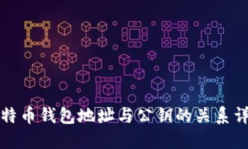 比特币钱包地址与公钥的关系详解