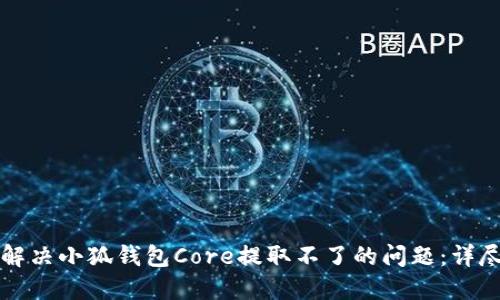 如何解决小狐钱包Core提取不了的问题：详尽指南